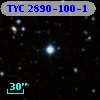 TYC 2890-100-1