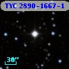 TYC 2890-1667-1