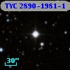 TYC 2890-1981-1