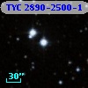 TYC 2890-2500-1