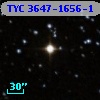 TYC 3647-1656-1