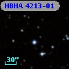 HBHA 4213-01