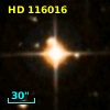 HD 116016