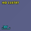 HD 116787