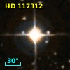HD 117312