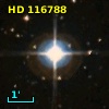 LTT  5181