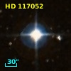 HD 117052