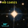 HD 116521