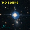 HD 116549