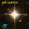HD 116711