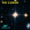 HD 116030