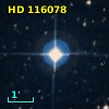 HD 116078