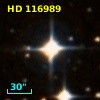 HD 116989