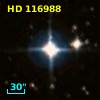 HD 116988