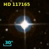 HD 117165