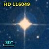 HD 116049