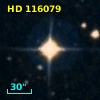 HD 116079