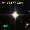 V* V1177 Cen