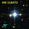 HD 116572