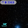 **   B  2313