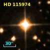 HD 115974