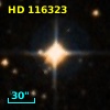 HD 116323