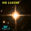 HD 116598