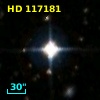 HD 117181