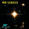 HD 116213