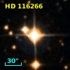 HD 116266