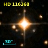 HD 116368