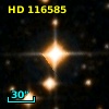 HD 116585