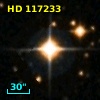 HD 117233