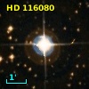 HD 116080