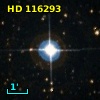 HD 116293