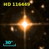 HD 116449