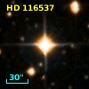 HD 116537