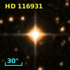 HD 116931