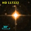 HD 117222