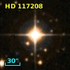 HD 117208