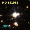 HD 181985