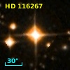 HD 116267