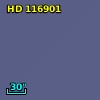 HD 116901