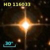 HD 116033