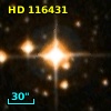 HD 116431