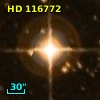 HD 116772