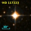 HD 117223