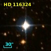 HD 116324