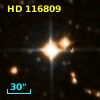 HD 116809