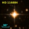 HD 116884